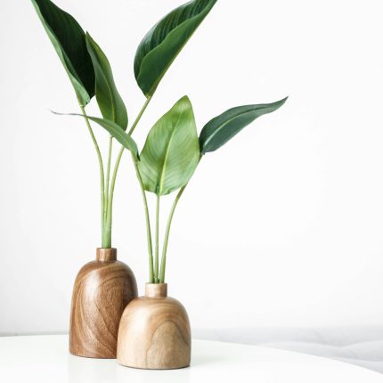 linh-le-Ebwp2-6BG8E-unsplash
