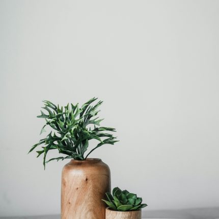linh-le-giP0e750Dr8-unsplash